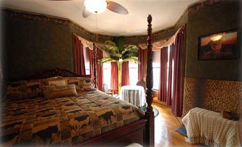 The Lion And The Rose Bed & Breakfast Whitefield 外观 照片
